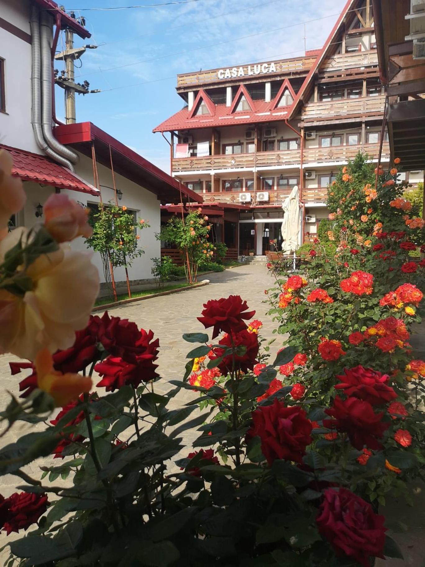 Hotel Casa Luca Vama Veche Exteriér fotografie
